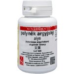 Sinecura Pelyněk argyjský Aiye extrakt 20 g – Hledejceny.cz