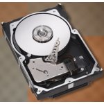 Seagate Cheetah 15K.7 600GB, 3,5", 15000rpm, SCSI, ST3600057SS – Zboží Mobilmania