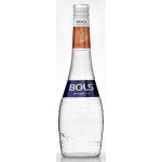 Bols Triple Sec 38% 0,7 l (holá láhev) – Zboží Dáma