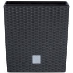 Prosperplast RATO LOW Květináč 17x17x17 cm ratan antracit – Hledejceny.cz