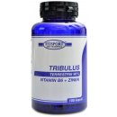 Fitsport Tribulus Terrestris 90% + B6 + Zinek 100 kapslí