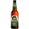 Pivo Radegast ROG IPA výčepní special 4,6% 0,5 l (sklo)