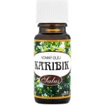 Saloos esenciální olej Karibik 10 ml – Hledejceny.cz