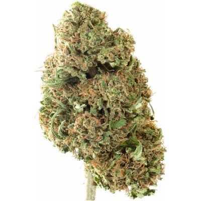 Populist 14% CBD květy Harlequin 0,3% THC 15 g – Zboží Mobilmania