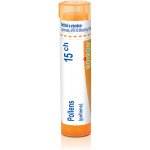 POLLENS POR 15CH GRA 1X4G – Hledejceny.cz