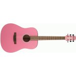 Ashton D30 – Hledejceny.cz