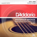 D'addario EJ17 – Sleviste.cz