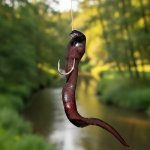 Silluro Pijavice koňská mražená 20 ks – Hledejceny.cz