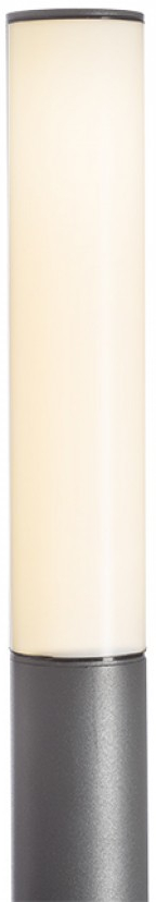 Rendl REDR10548