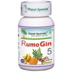 Planet Ayurveda RumoGin5 500 mg 60 kapslí – Hledejceny.cz