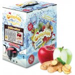 OVOCŇÁK Mošt zázvorový 3L – Hledejceny.cz