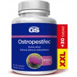 GS Ostropestřec 6500 mg XXL 100 tablet – Hledejceny.cz