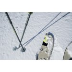 Pinguin Compact FL Foam – Zboží Dáma