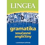 Gramatika současné angličtiny s praktickými příklady - Lingea – Hledejceny.cz