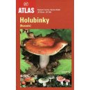 Kniha Holubinky