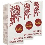 Dr. Landa Bylinná 6 x 250 ml – Zbozi.Blesk.cz