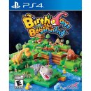 Birthdays the Beginning