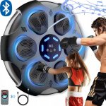 Gordon G859 Elektronický boxovací nástěnný terč Bluetooth – Zbozi.Blesk.cz