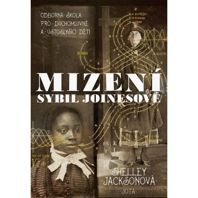 Mizení Sybil Joinesové - Jacksonová Shelley – Zboží Mobilmania