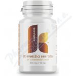 Epigemic Boswellia Serrata Epigemic 90 kapslí – Hledejceny.cz