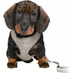 JUNIOR puppy souprava měkký postroj 26-34 cm/10mm vodítko 2,00m/10mm – Hledejceny.cz