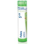 POLLENS POR 5CH GRA 1X4G – Hledejceny.cz