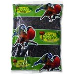 Agros Slunečnice černá 1 kg – Zboží Dáma
