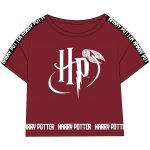 dívčí tričko CROP TOP Harry Potter bílá – Hledejceny.cz