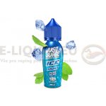 Just Juice Shake & Vape ICE Pure Mint 20 ml – Zboží Mobilmania