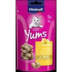 Vitakraft Cat Yums Sýr 40 g – Hledejceny.cz