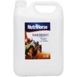 NutriHorse Elektrolyt 5 l – Hledejceny.cz