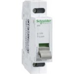 Schneider Electric A9S60132 – Hledejceny.cz