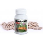 Astaxanthin 12 mg Valknut 100+20 kapslí – Hledejceny.cz