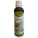 Serafin tinktura z bylin Kaštan Chestnut 50 ml – Hledejceny.cz