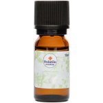 Volatile Esenciální olej eukalyptus divoký 10 ml – Hledejceny.cz