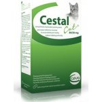 Cestal Cat žvýkací tablety pro kočku 80 / 20mg 8 tbl – Hledejceny.cz