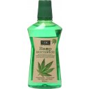 Xoc Hemp Mouthwash ústní voda s konopným extraktem 500 ml