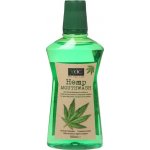 Xoc Hemp Mouthwash s konopným extraktem 500 ml – Zboží Mobilmania