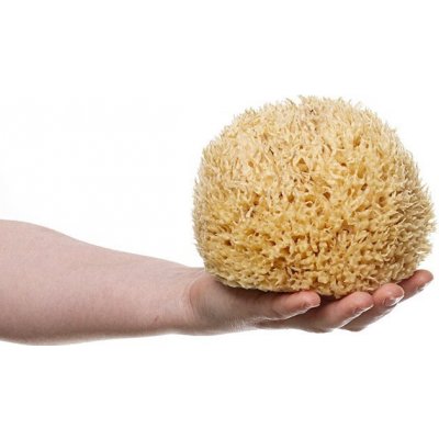 MKN Mořská houba Honeycombe velká nebělená – Zboží Dáma