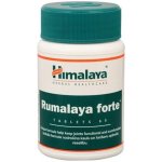 Himalaya Rumalaya Forte 60 tablet – Hledejceny.cz