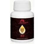 Superionherbs Reishi sporový olej 30% triterpenů 60 kapslí – Hledejceny.cz
