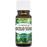 Saloos esenciální olej Kouzlo Vánoc 10 ml – Sleviste.cz
