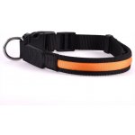 Dogtrace obojek svítící syntetický popruh – Zboží Dáma