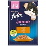 Felix FANTASTIC junior kuře v želé 26 x 85 g – Zboží Mobilmania