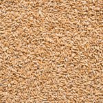 Country Life Pšenice špalda Bio 5kg – Zboží Dáma