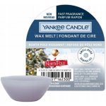 Yankee Candle vonný vosk North Pole Hideaway 22 g – Zboží Dáma