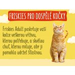 Friskies Adult Cat s hovězím kuřecím a zeleninou 10 kg – Zboží Dáma