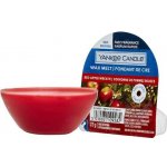 Yankee Candle Red Apple Wreath vosk do aromalampy unisex 22 g – Hledejceny.cz