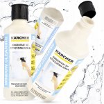 Kärcher 6.295-933.0 RM 500 Profi čistič skel a oken 500 ml – HobbyKompas.cz