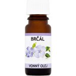 Anděl Přerov Olej vonný Brčál 10 ml – Hledejceny.cz